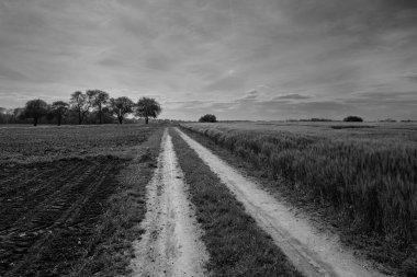 Aşağı Avusturya 'nın Mostviertel Bölgesinin bir peyzajı boyunca uzanan toprak parçası