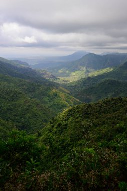 Mauritius 'taki Kara Nehir Vadisi Yeşil Yağmur Ormanları Vadisi' ne Bakış Açısı