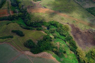 Küçük Dereli, Ağaçlı ve Mauritius 'taki yemyeşil arazili hava manzarası
