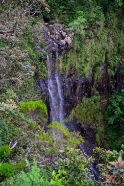 Mauritius 'taki Black River Gorges Ulusal Parkı' nda Alexandra Şelalesi