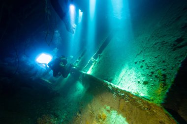 Scuba Diver Inside Giannis D Wreck at Shaab Abu Nuhaz Reef in the Red Sea in Egypt clipart