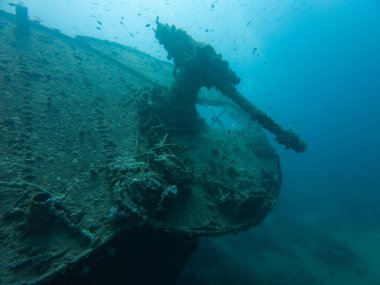 SS Thistlegorm gemisi Wreck 4 inç alçak açılı LA ana silahı Stern 'de.