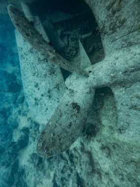 SS Thistlegorm Enkaz Pervanesi 2. Dünya Savaşı 'ndan kalma Kızıl Deniz Kargo Gemisi, Mısır