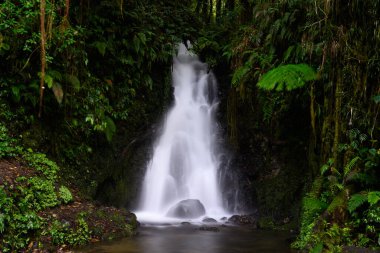 Flores Adası, Doğu Nussa Tenggera, Endonezya 'daki Air Terjun Ranamese Şelalesi