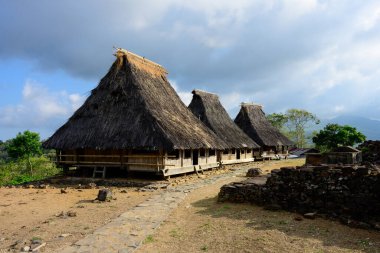 Wologai Traditional Village Tribal Houses of the Lio Tribe in Flores, Indonesia Thatched with Reeds clipart