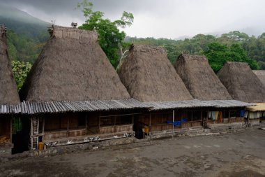 Geleneksel Hasır, Bena Geleneksel Köyü, Flores, Endonezya 'daki Evleri Thatched