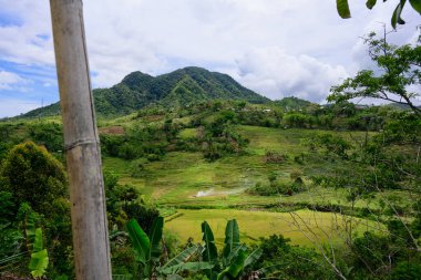 Flores, Endonezya 'daki Redjang yakınlarındaki Teraslı Pirinç Tarlaları Manzarası