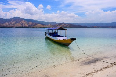 Geleneksel ahşap balıkçı teknesi Riung, Flores, Endonezya 'daki 17 Adalı Ulusal Park' ta bir plajda demirli.