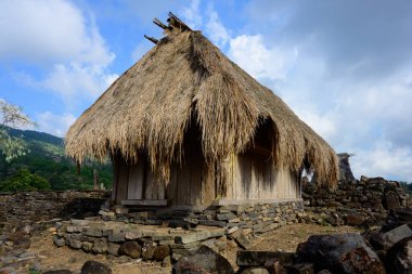 Wologai Geleneksel Köy Kabilesi Flores, Endonezya 'daki Lio Kabilesi