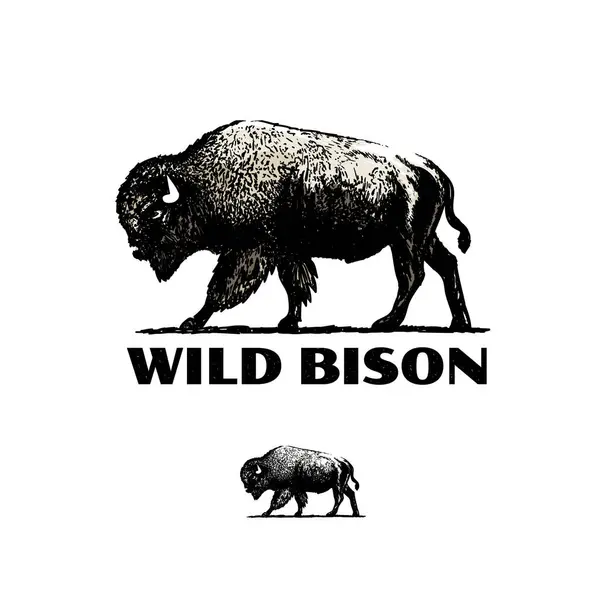 Muhteşem Bizon Vektör El Çizimi İllüstrasyonu. Vintage bizon vektör logosu.