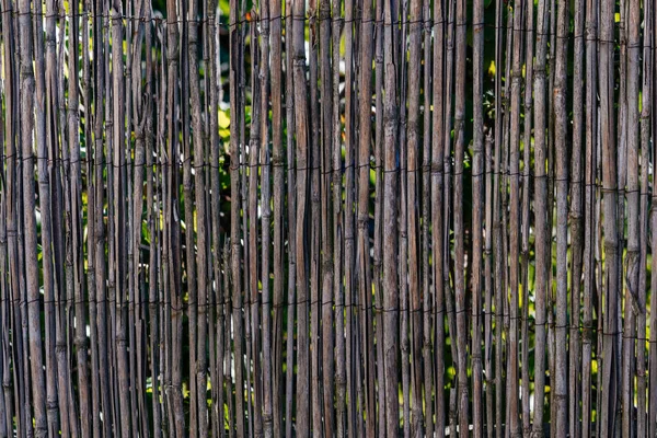 Decorative fence made of straw, bamboo. Rustic fence made of dry bamboo.