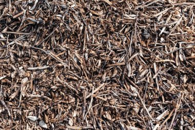 Ağaç ve çalı kırıntıları. Arka planda küçük bir odun yığını, üst manzara. Ahşap sanayi atıkları, yakıt ve hammaddeler katı yakıt endüstrisi kazanlarını odun parçalarında ısıtmak için.. 