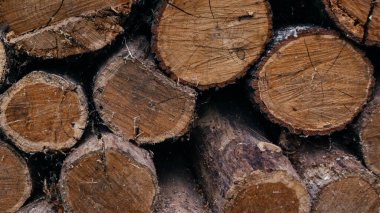 Kuruması için ocak ve şöminede depolanan odunların yakın plan görüntüleri. 