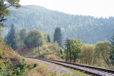 Demiryolu rayları, raylar ve ezilmiş taşlar. Dağ ve orman manzarası. Demiryolu kavşağı. Ağır endüstri, tren yolu. 