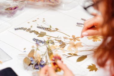 Herbaryum. Kurumuş çiçekler ve yapraklar. Bir kadın kurumuş çiçeklerden bir elbise yapar.. 