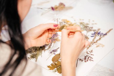 Herbaryum. Kurumuş çiçekler ve yapraklar. Bir kadın kurumuş çiçeklerden bir elbise yapar.. 