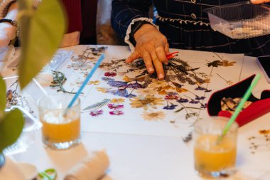 Herbaryum. Kurumuş çiçekler ve yapraklar. Bir kadın kurumuş çiçeklerden bir elbise yapar.. 