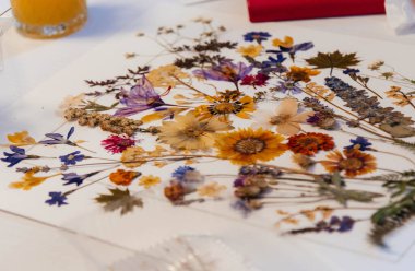 Herbaryum. Kurumuş çiçekler ve yapraklar. Bir kadın kurumuş çiçeklerden bir elbise yapar.. 