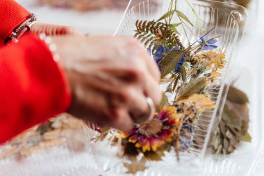 Herbaryum. Kurumuş çiçekler ve yapraklar. Bir kadın kurumuş çiçeklerden bir elbise yapar.. 