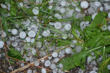 Doludan sonra yeşil çimlerde dolu yağsın. Dolu fırtınasından sonra dolu taşlarıyla kaplanmış çimenler. Yağış biçimi düşüyor. 