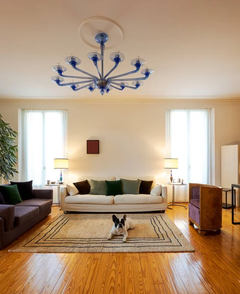 Elegante Sala Estar Com Grandes Sofás Poltrona Apartamento Vintage Interior — Fotografia de Stock