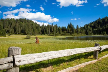 Woman plays the cello on a hot summer day in the middle of a meadow. Switzerland