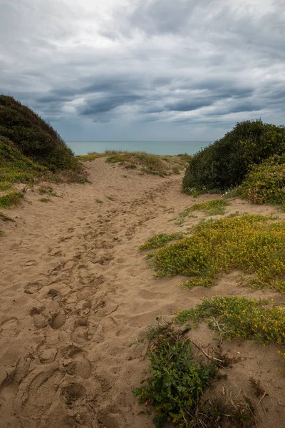 Sandy Path Middle Maritime Vegetation End Path You Can See — Stock Photo, Image