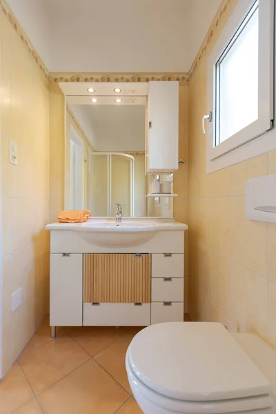 Lavabo Ayna Sabunla Banyo Dolabının Önü Arkasında Duş Var Çeride — Stok fotoğraf