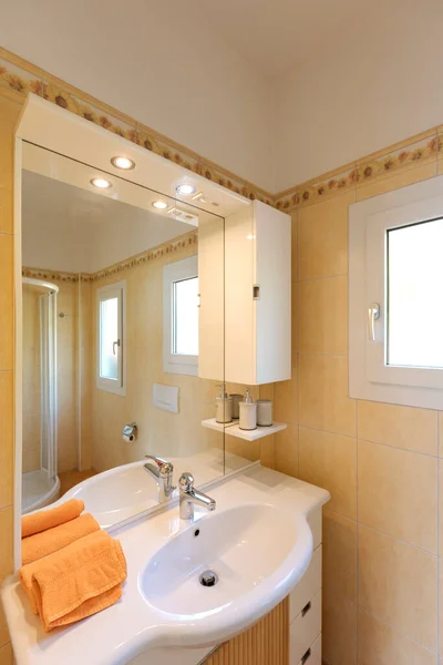 Lavabo Ayna Sabunla Banyo Dolabının Ayrıntıları Arkasında Duş Var Çeride — Stok fotoğraf