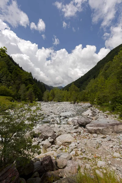 Vista Leito Rio Vale Onsernone Com Árvores Verdes Nas Montanhas — Fotografia de Stock