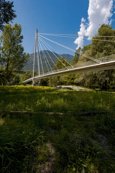 Puente Peatonal Medio Del Bosque Hermosa Arquitectura Gran Estudio Ingeniería —  Fotos de Stock