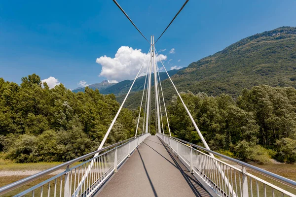 Ormanın Ortasındaki Yaya Köprüsü Büyük Bir Mühendislik Firmasıyla Güzel Bir — Stok fotoğraf