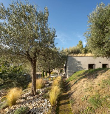 Zeytin ağaçları olan bir arazide betondan yapılmış yeni bir evin dış cephesi. Doğayla iç içe nefes kesici güneşli bir gün..