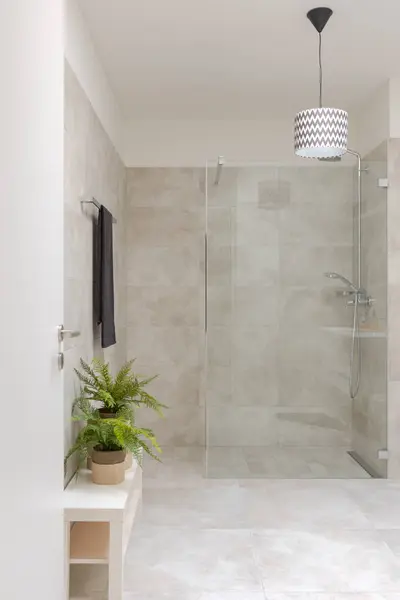 Modern Fürdőszoba Belső Zuhanyzóval Üveg Válaszfallal Jobbra Két Kis Növény Stock Fotó