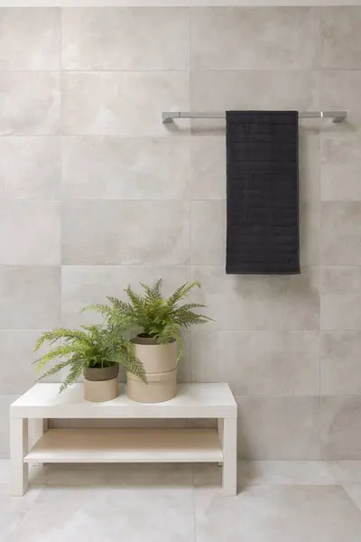 Detail Bathroom Interior Hanging Towel Two Small Plants Image Space Stock Image