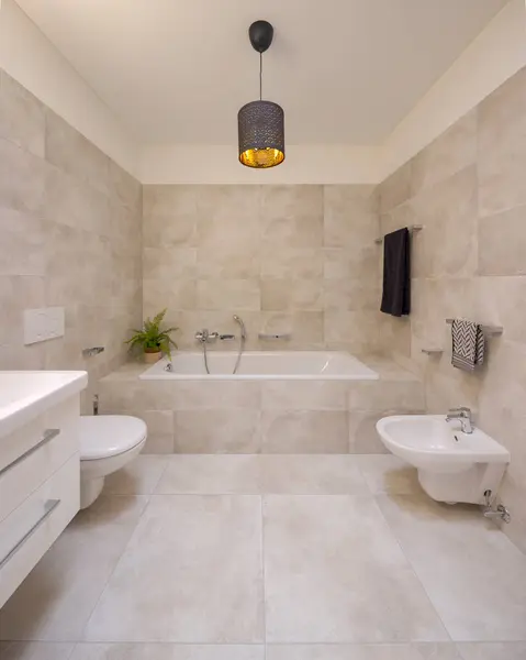 新翻新的带有浴缸和蕨树幼苗的现代化浴室的前视图 还有一个厕所和一个自行车 里面没有人 免版税图库图片