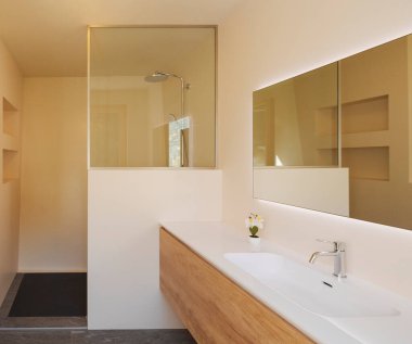 Lavabosu ve duşu olan ahşap bir dolabı olan modern bir banyonun önünde küçük bir orkide de var. Parlak pencere, içeride kimse yok.