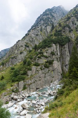 Gotthard Geçidi 'nden inen Reuss Nehri' nin doğa detayları.