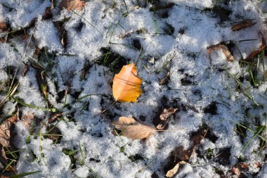 Güzel sonbahar doğası. Kış geliyor.