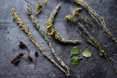 Slav doğal bitkisel tütsü asaları