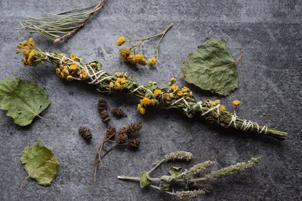 Slav doğal bitkisel tütsü asaları