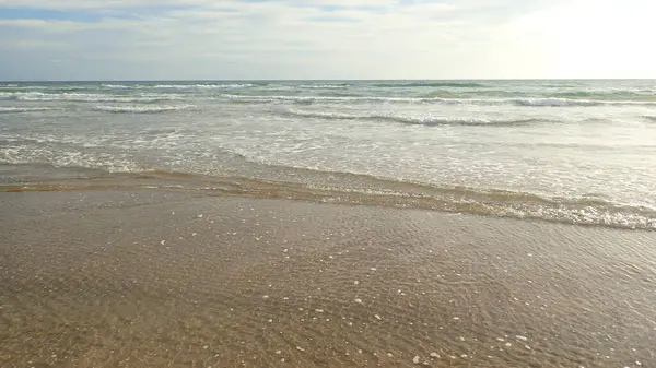 Sakin kumsal manzarası, yumuşak dalgalar ve mavi gökyüzü.