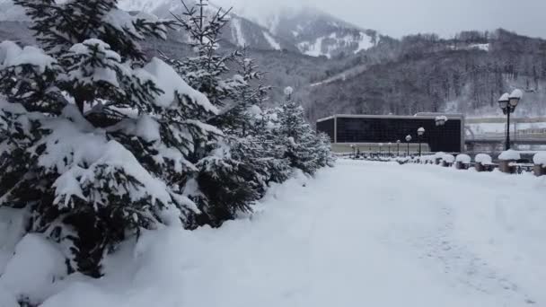 Zimowy Widok Góry Olimpijskiej Wsi Roza Plato Lot Dronem — Wideo stockowe