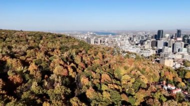Sonbahar parkının üstünde İHA uçuşu ve arka planda gökdelenler. Mont-Royal Parkı, Montreal, Kanada