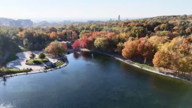 Göl ve sonbahar parkının üzerinde arka planda gökdelenler olan insansız hava aracı uçuşu. Mont-Royal Parkı, Montreal, Kanada
