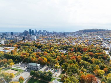 Halka açık bir park, sonbahar yaprağı rengi değişimi, şehir merkezindeki gökdelenler..
