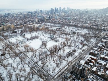 Kış Parkı Pınarı, karla kaplı donmuş göl manzarası. Montreal, Quebec, Kanada.