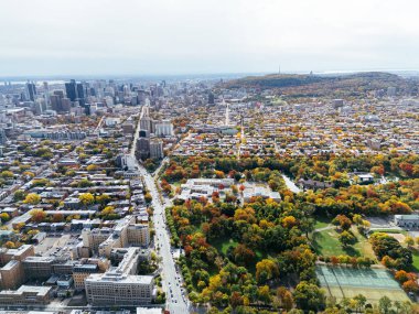 Halka açık bir park, sonbahar yaprağı rengi değişimi, şehir merkezindeki gökdelenler..