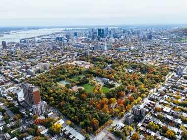 Halka açık bir park, sonbahar yaprağı rengi değişimi, şehir merkezindeki gökdelenler..