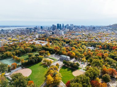 Halka açık bir park, sonbahar yaprağı rengi değişimi, şehir merkezindeki gökdelenler..